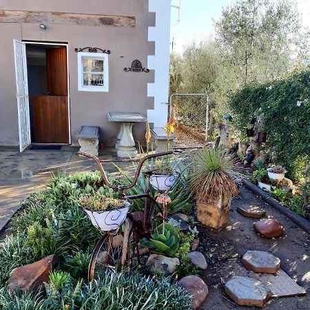 Carmel Villa B&B Or Self-Catering Calvinia Экстерьер фото